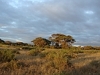 comp_dsc04606