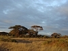 comp_dsc04607