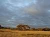 comp_dsc04608