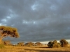 comp_dsc04611