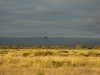 comp_dsc04614