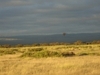 comp_dsc04615