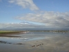 comp_dsc04623