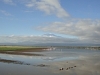 comp_dsc04624