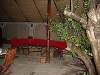 comp_dsc02632