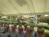 comp_weddingisland-_diani-reef-kenya-4-058728