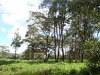 comp_dsc04401