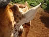 comp_dsc04416
