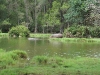 comp_pict4898