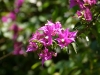 comp_img_0970