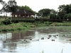 comp_hippo_bar_exterior