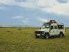 comp_safari