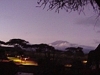comp_dsc04591