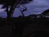 comp_dsc04593