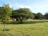comp_kifaru-cottages