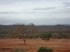 comp_tsavo-west-kilanguni-serena-lodge-www-lofty-tours-com-12