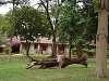 comp_tsavo-west-kilanguni-serena-lodge-www-lofty-tours-com-6