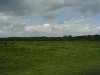 comp_kif_1280