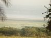 comp_qd0021024
