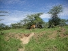 comp_dsc02890