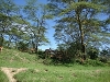 comp_dsc02891