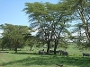 comp_dsc02893