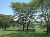 comp_dsc02894