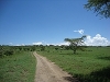comp_dsc02895
