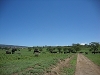 comp_dsc02896