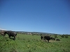 comp_dsc02897