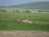 comp_dsc02904