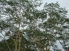 comp_dsc02906