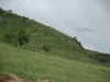 comp_dsc02909