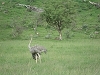 comp_dsc02910