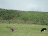 comp_dsc02911