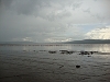 comp_dsc02916