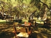 comp_garden_lunch