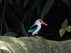 comp_dsc_0019
