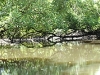 comp_dsc_0020