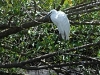 comp_dsc_0021