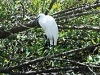 comp_dsc_0022