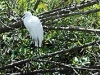 comp_dsc_0023