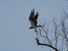 comp_dsc_0024