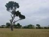 comp_dsc03248