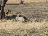 comp_dsc03294