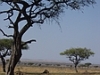 comp_dsc03297