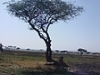 comp_dsc03299