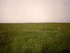 comp_masai-mara-fig-tree-camp-may-1989-www-lofty-tours-com0017