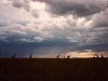 comp_masai-mara-fig-tree-camp-may-1989-www-lofty-tours-com0019