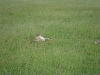 comp_dsc02615